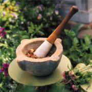 mortar and pestle with Homeopathic herbs
